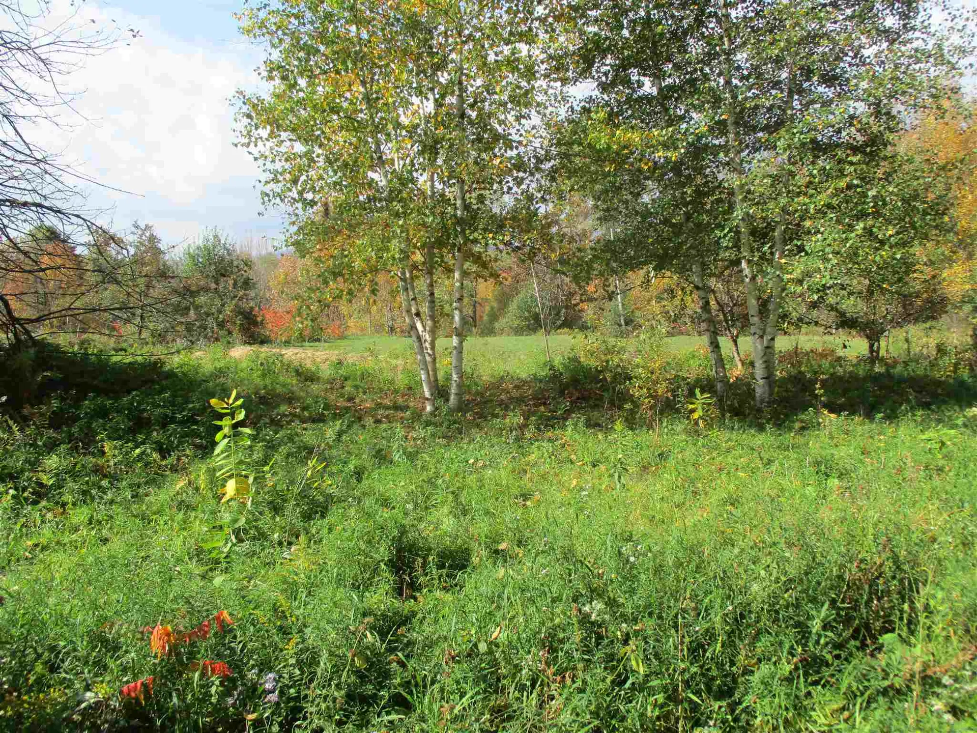 971 Gage Road Tunbridge VT 05077