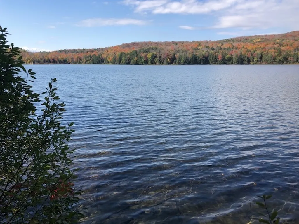 5125 Miller Pond Road Strafford VT 05072