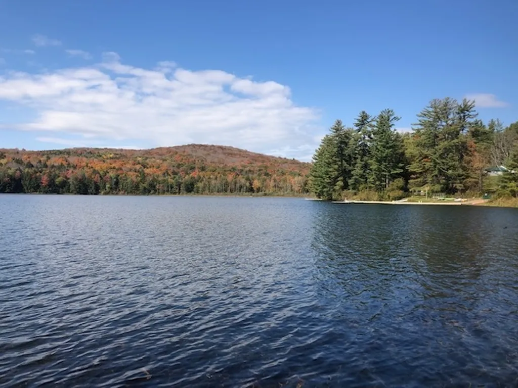 5125 Miller Pond Road Strafford VT 05072