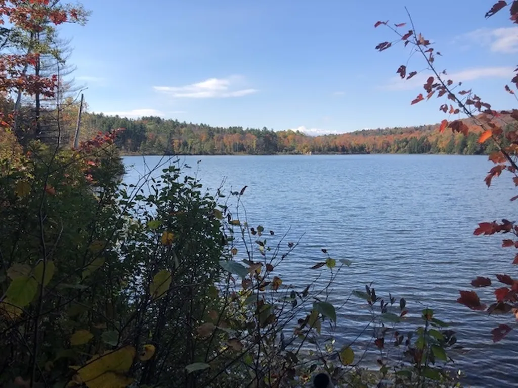 5125 Miller Pond Road Strafford VT 05072