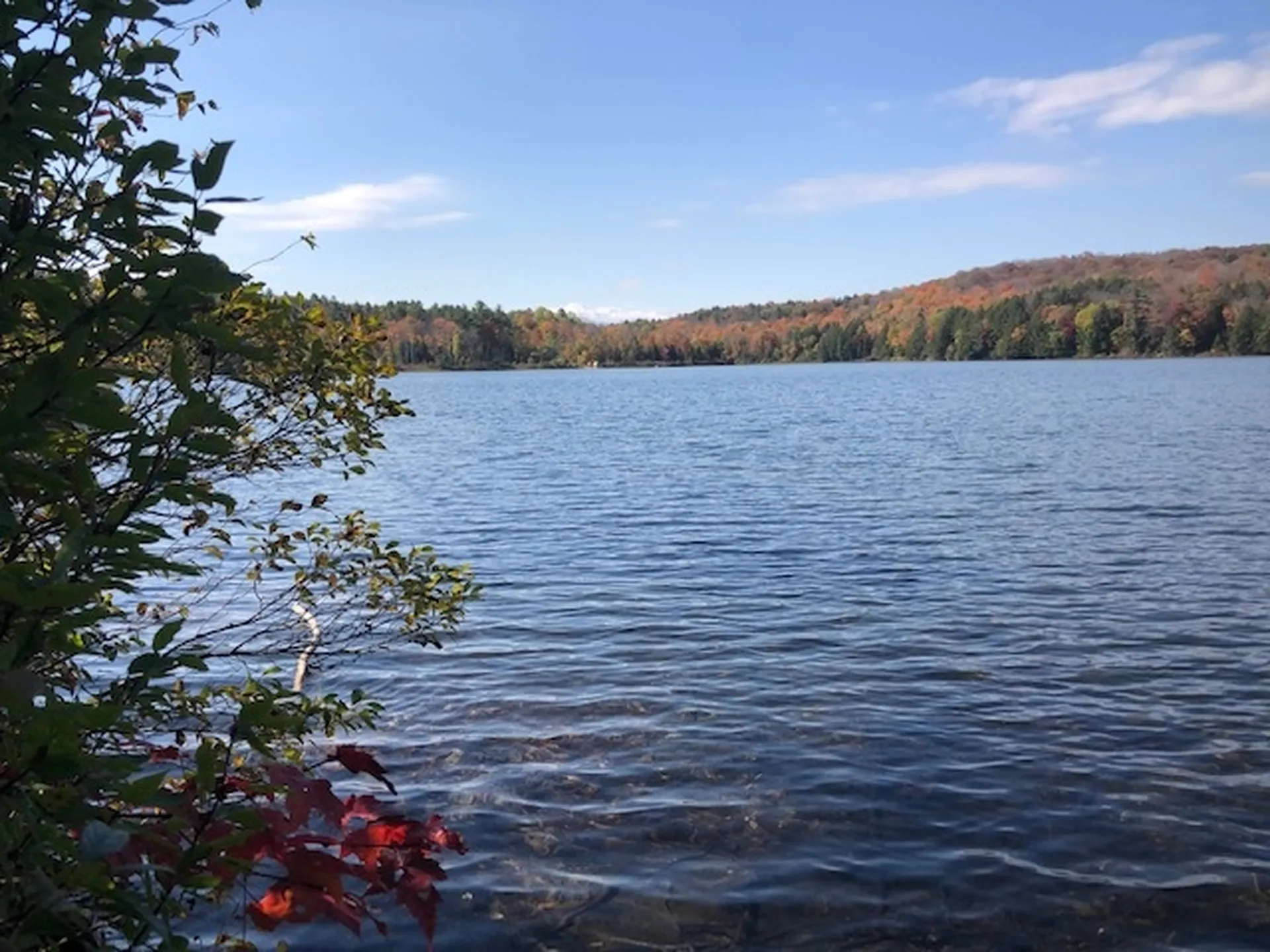 5125 Miller Pond Road Strafford VT 05072