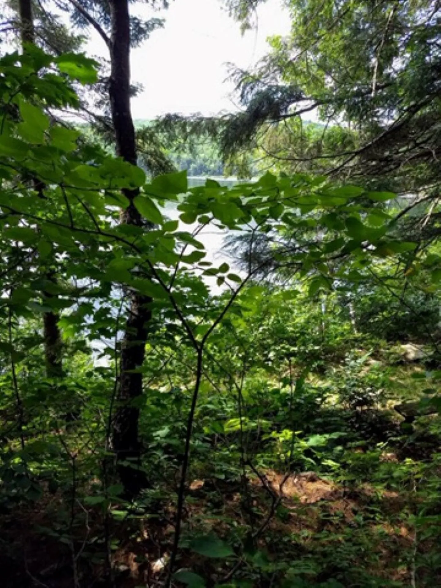 5125 Miller Pond Road Strafford VT 05072