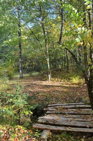 196 Bradford Road Henniker NH 03242