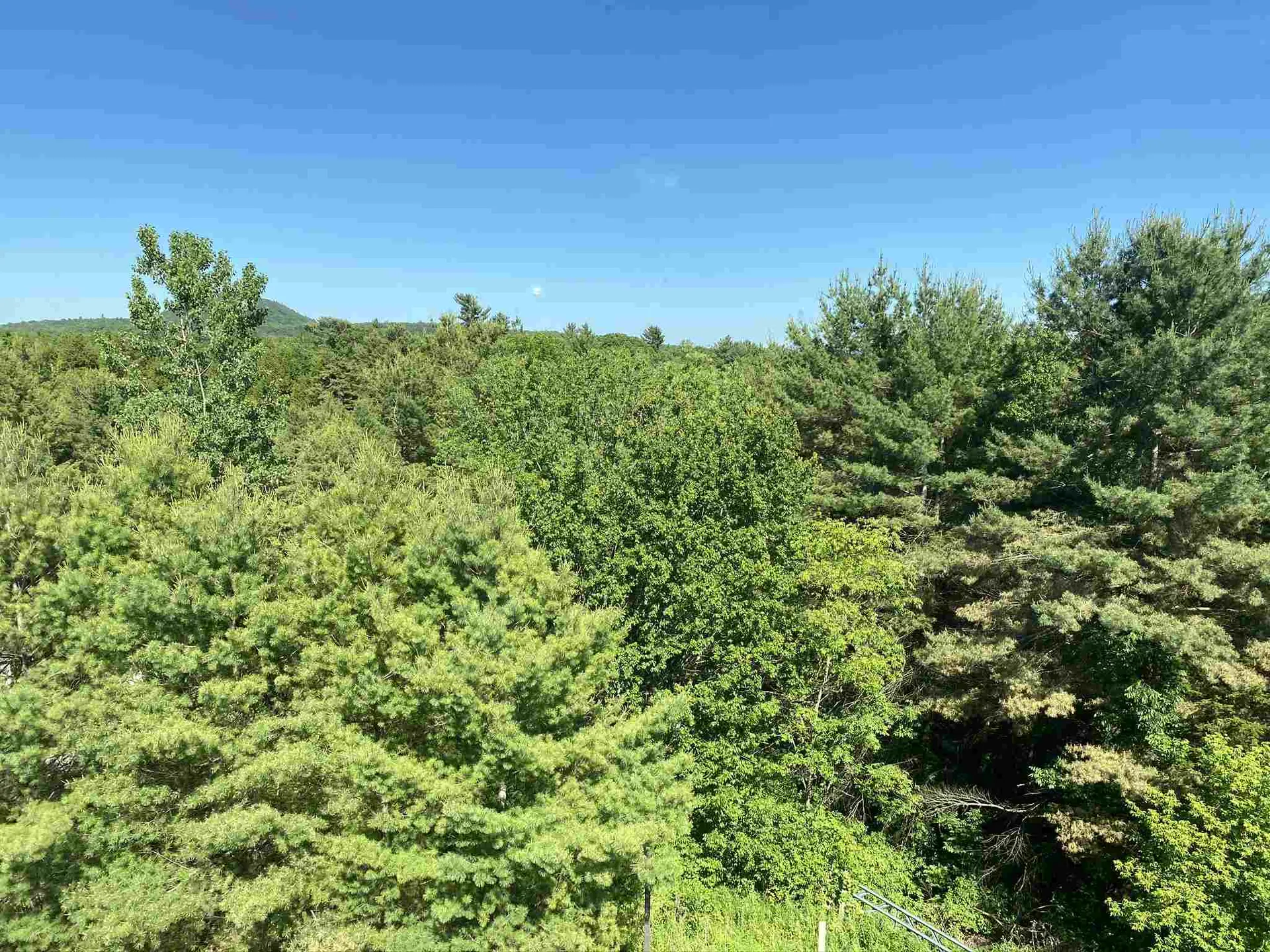 160 Wiley Road Colchester VT 05446