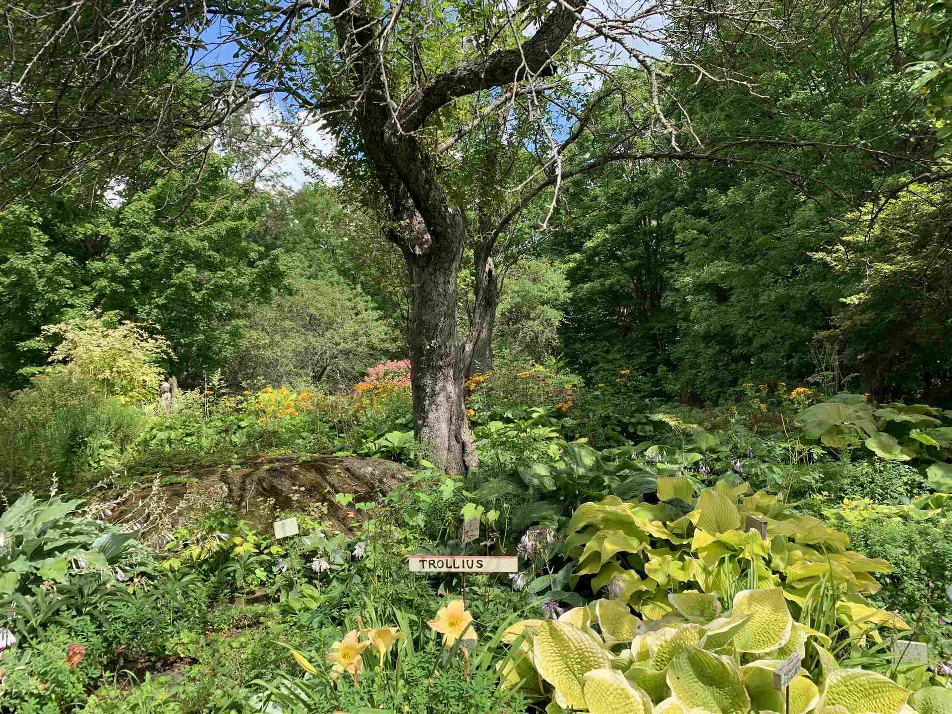 1747 Hunt Road Windsor VT 05089