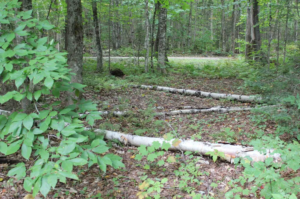 2098 Kinney Hill Road Newark VT 05871