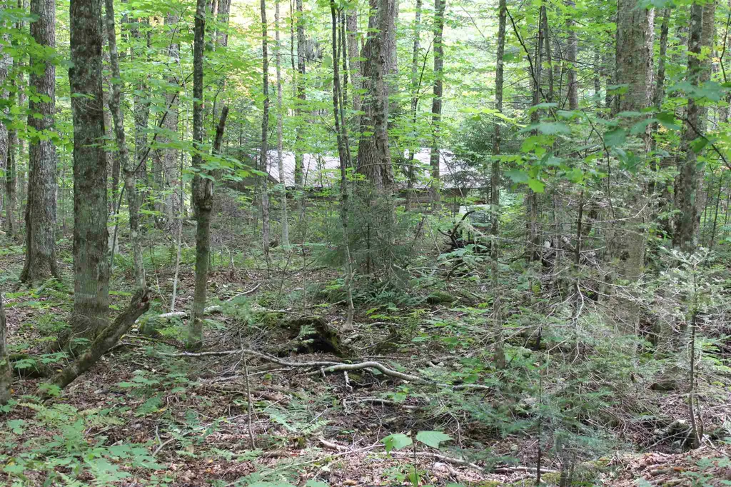 2098 Kinney Hill Road Newark VT 05871