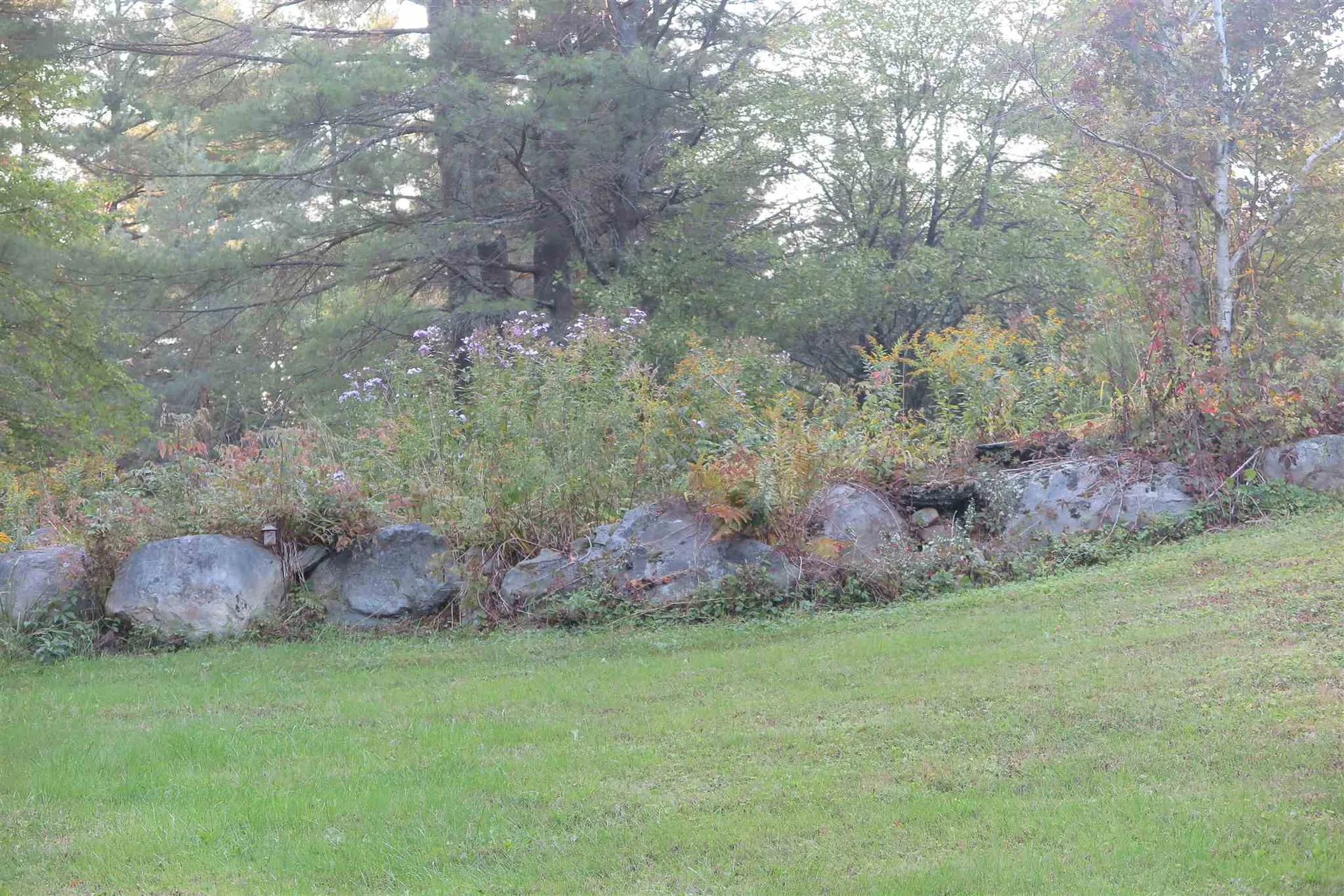 1686 Carlisle Hill Road Goshen VT 05733