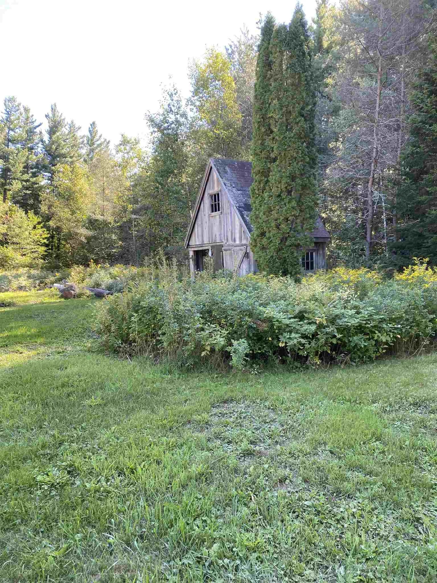 1686 Carlisle Hill Road Goshen VT 05733