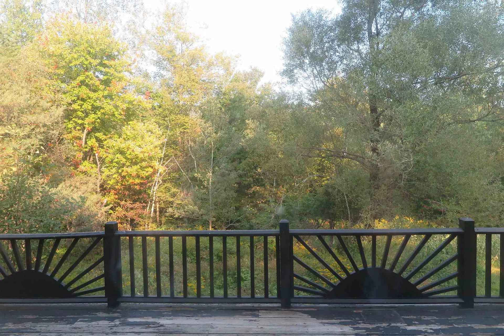 1686 Carlisle Hill Road Goshen VT 05733