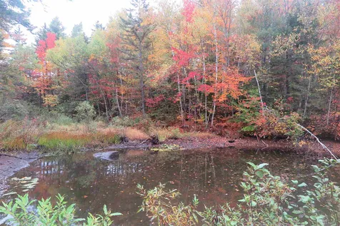1686 Carlisle Hill Road Goshen VT 05733