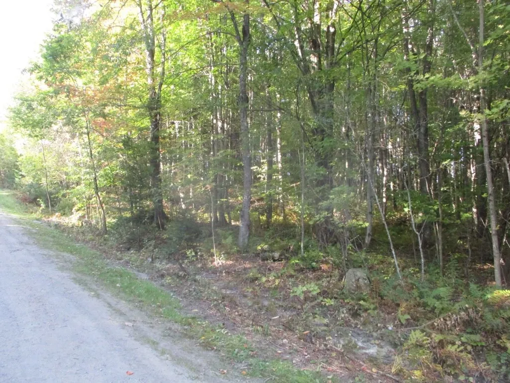 000 Richard Woolcutt Road And Walnut Lane Wolcott VT 05680