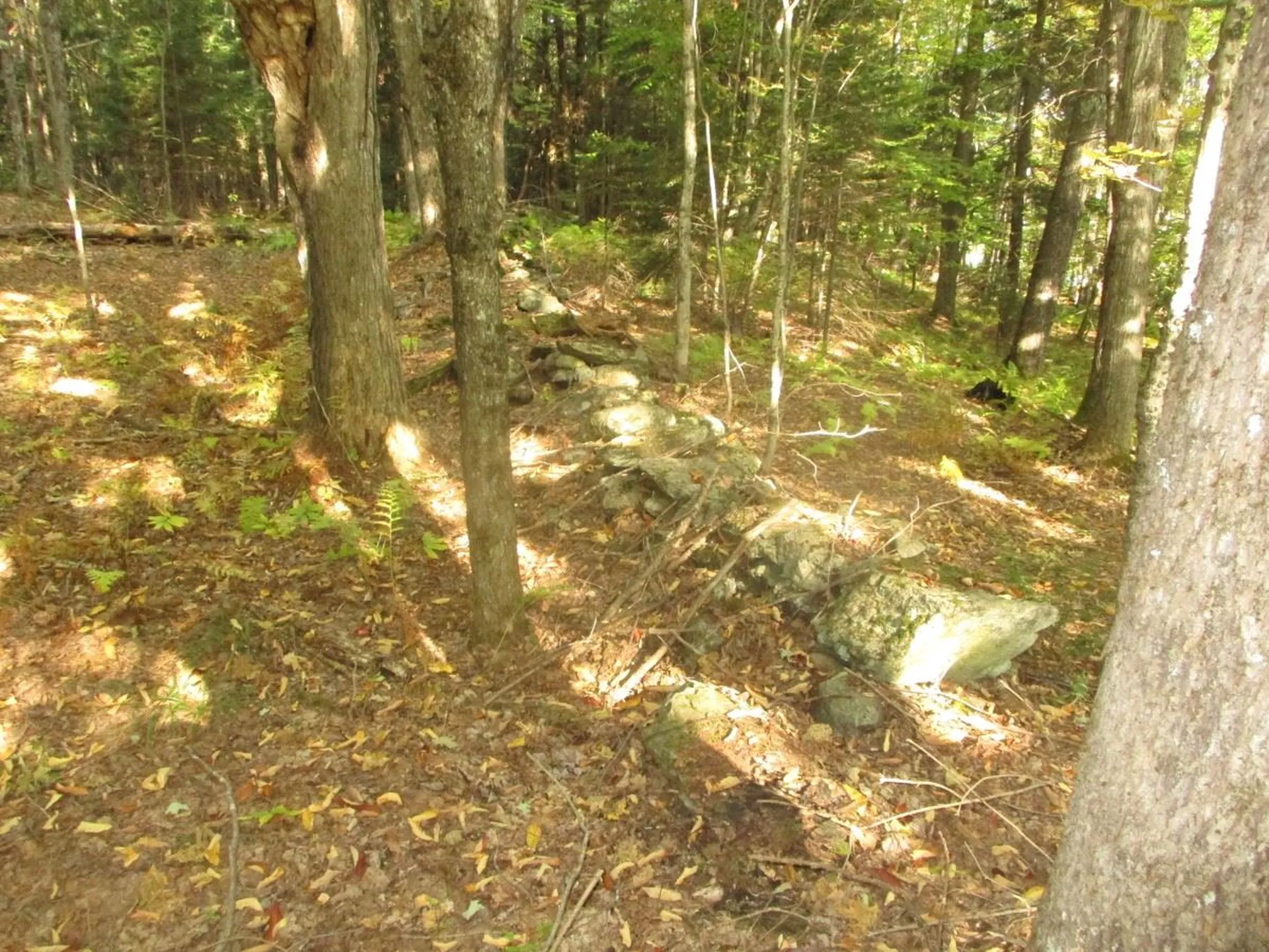 000 Richard Woolcutt Road And Walnut Lane Wolcott VT 05680
