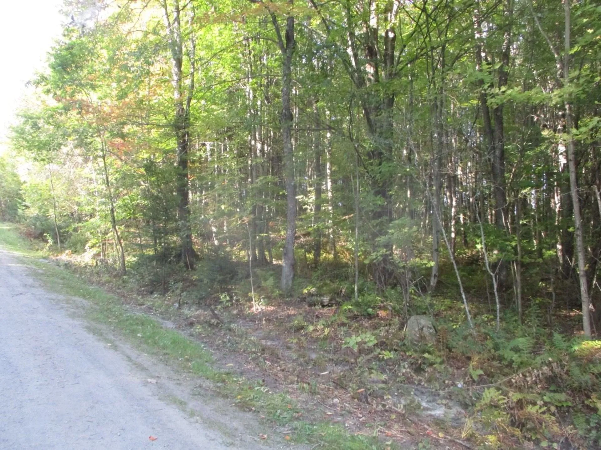 000 Richard Woolcutt Road And Walnut Lane Wolcott VT 05680