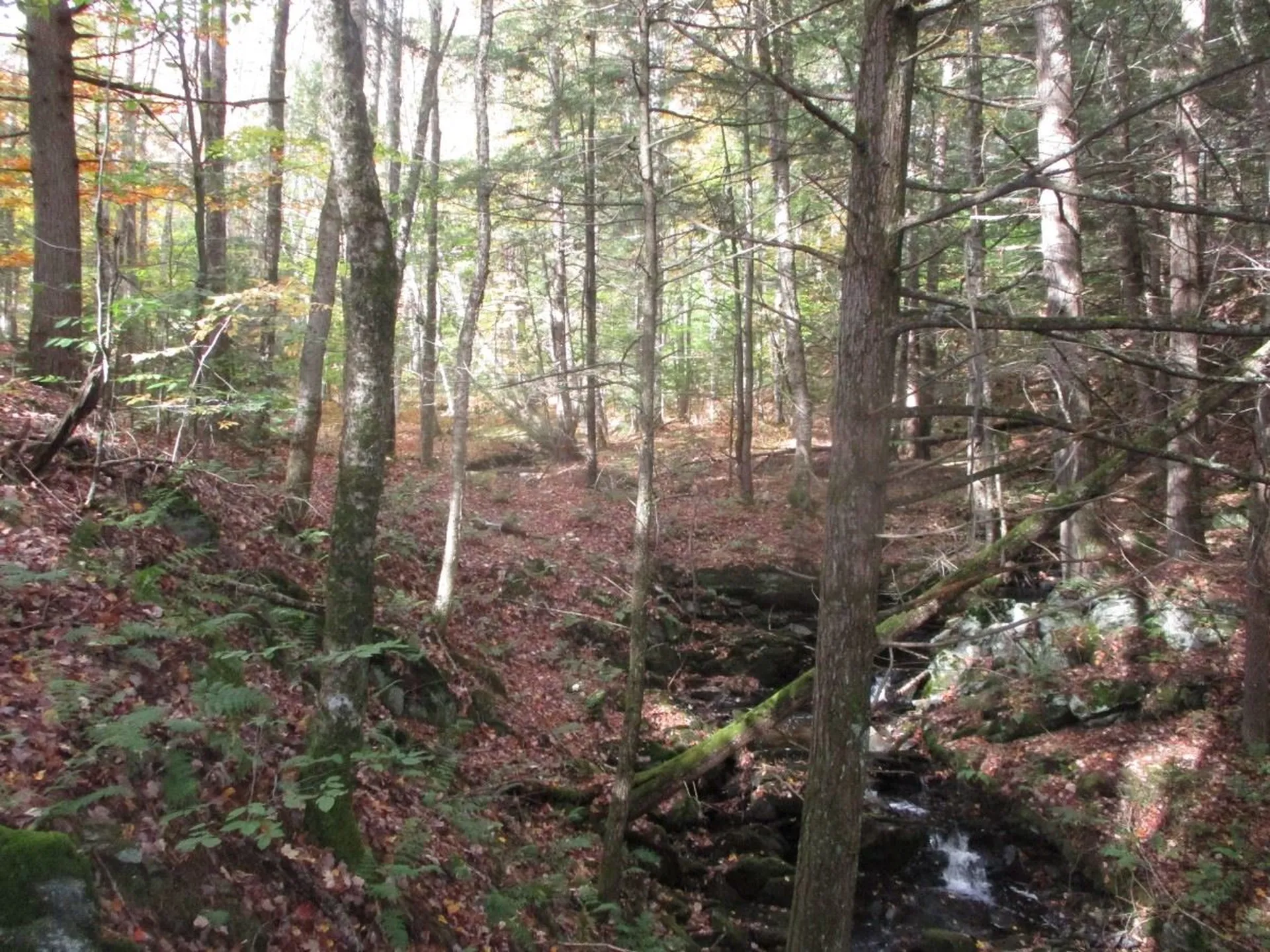 000 Richard Woolcutt Road And Walnut Lane Wolcott VT 05680