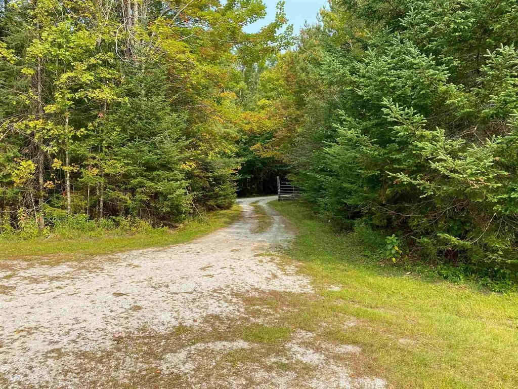 211 Stanley Lane Mount Holly VT 05758