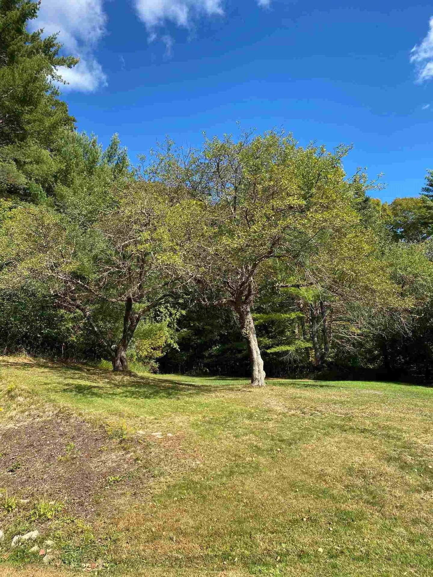 207 Meriden Road Lebanon NH 03766