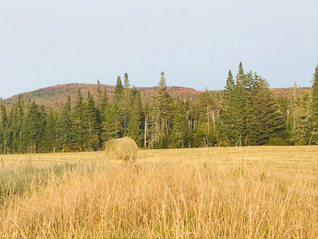 3380 Town Hill Road Wolcott VT 05680