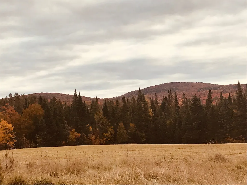 3380 Town Hill Road Wolcott VT 05680