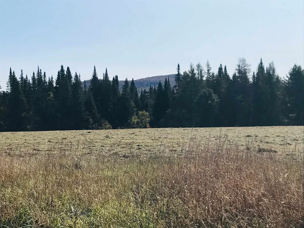 3380 Town Hill Road Wolcott VT 05680