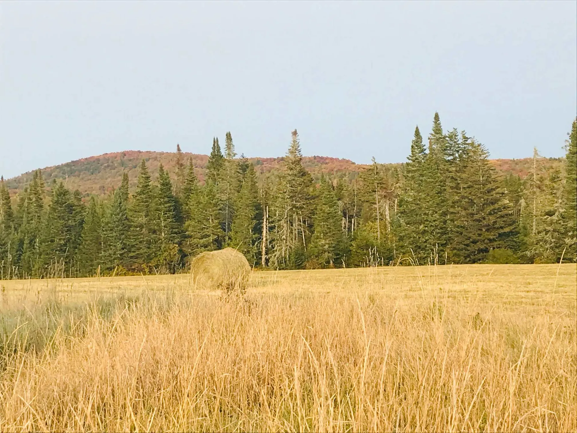 3380 Town Hill Road Wolcott VT 05680