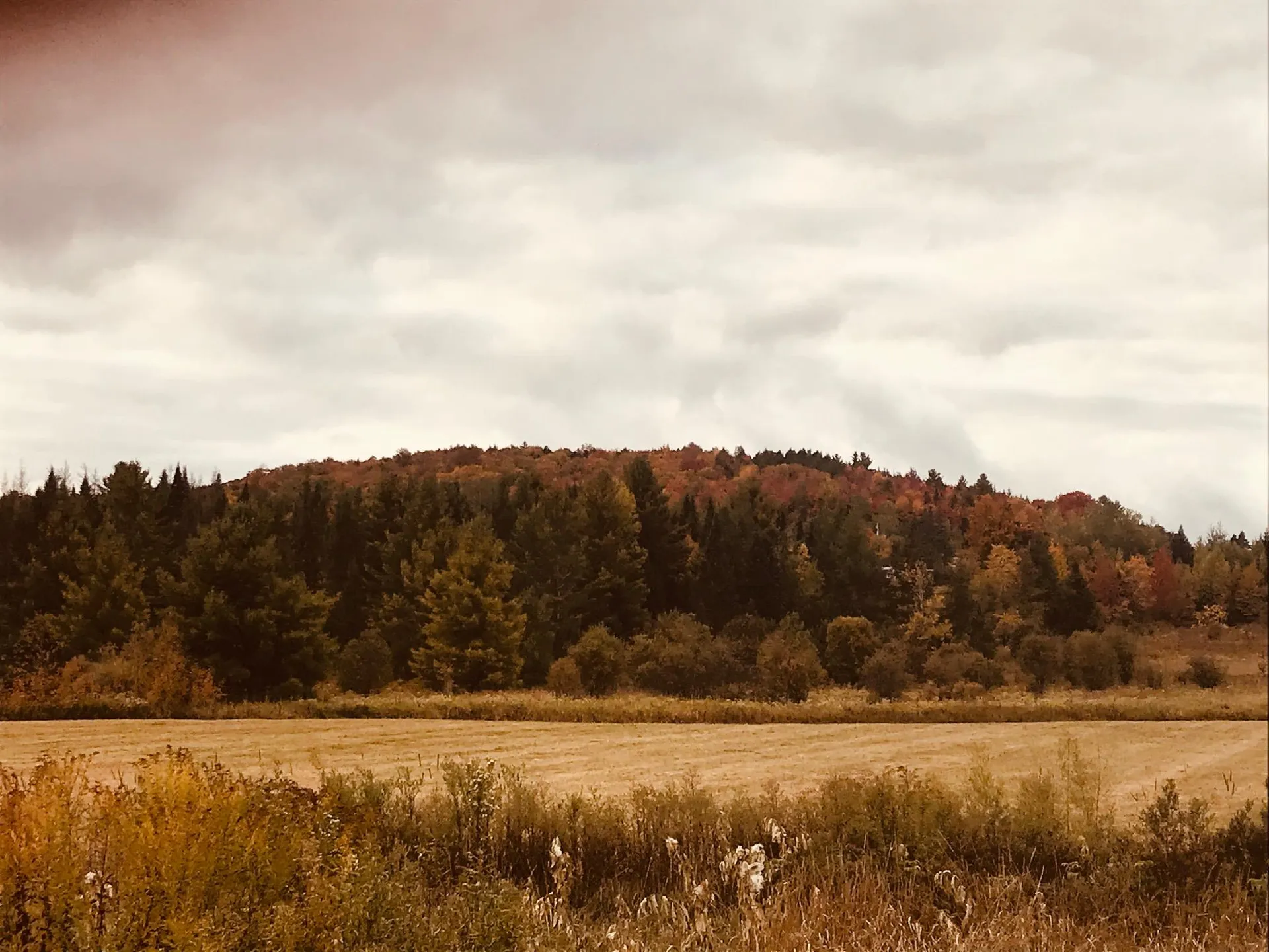 3380 Town Hill Road Wolcott VT 05680