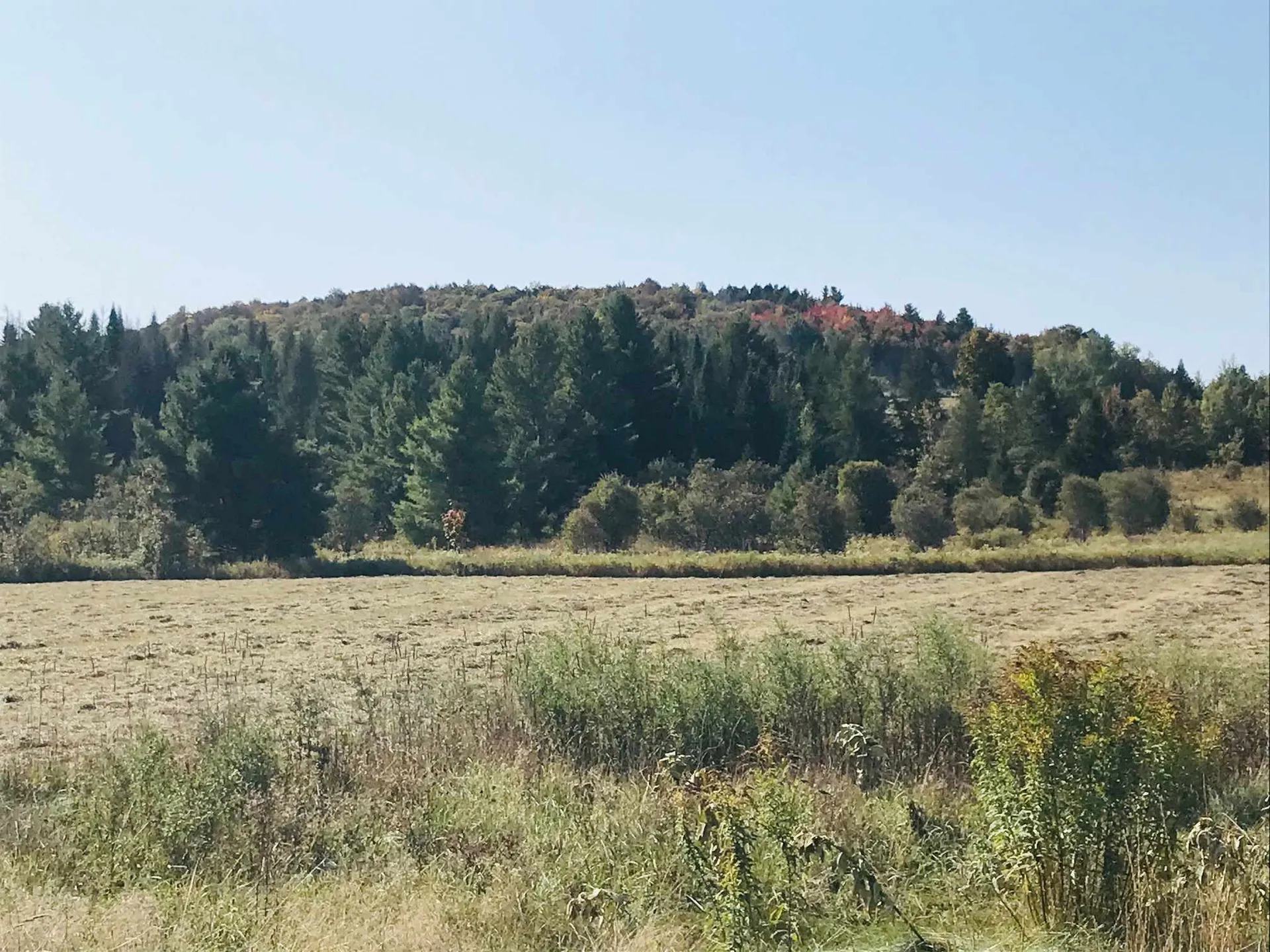 3380 Town Hill Road Wolcott VT 05680