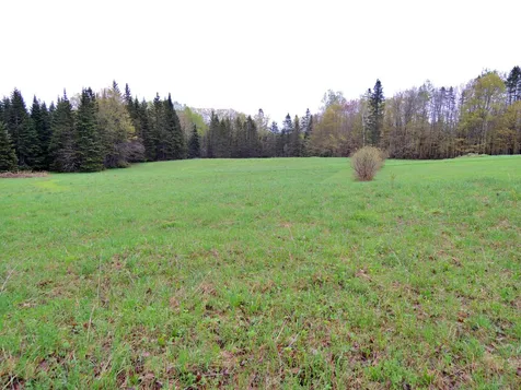 3310 Underpass Road Sutton VT 05867