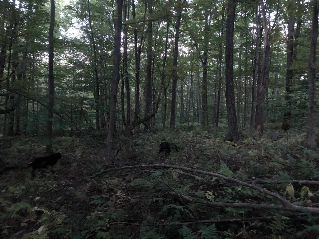 0 Kelley Hill Road Danby VT 05739