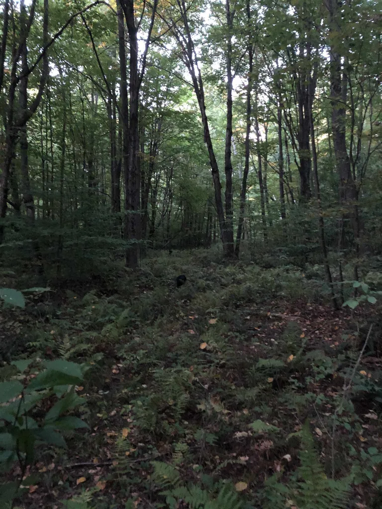 0 Kelley Hill Road Danby VT 05739