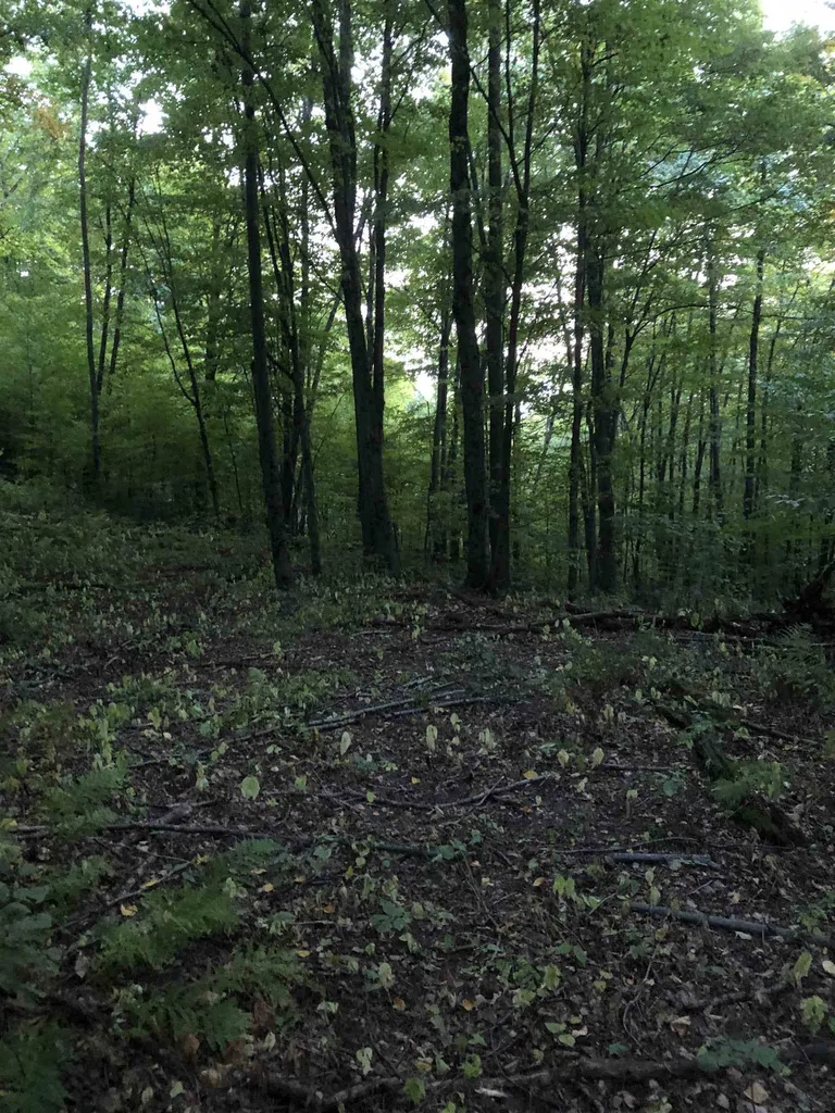 0 Kelley Hill Road Danby VT 05739