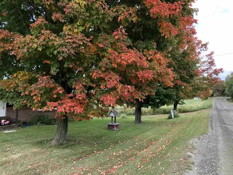 656 Mud Island Road Glover VT 05839