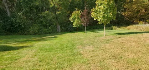 1201 Kirby Hollow Road Dorset VT 05251
