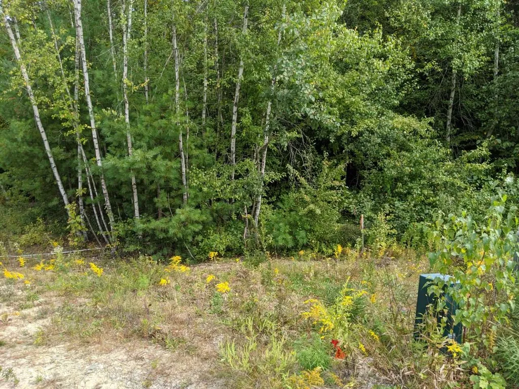 57 Thunder Road Fremont NH 03044