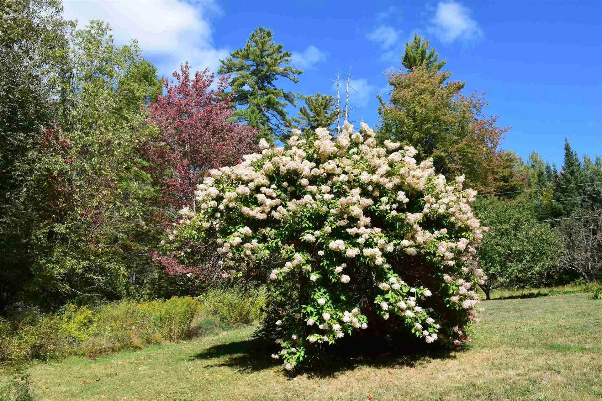 328 Lancaster Road Whitefield NH 03598