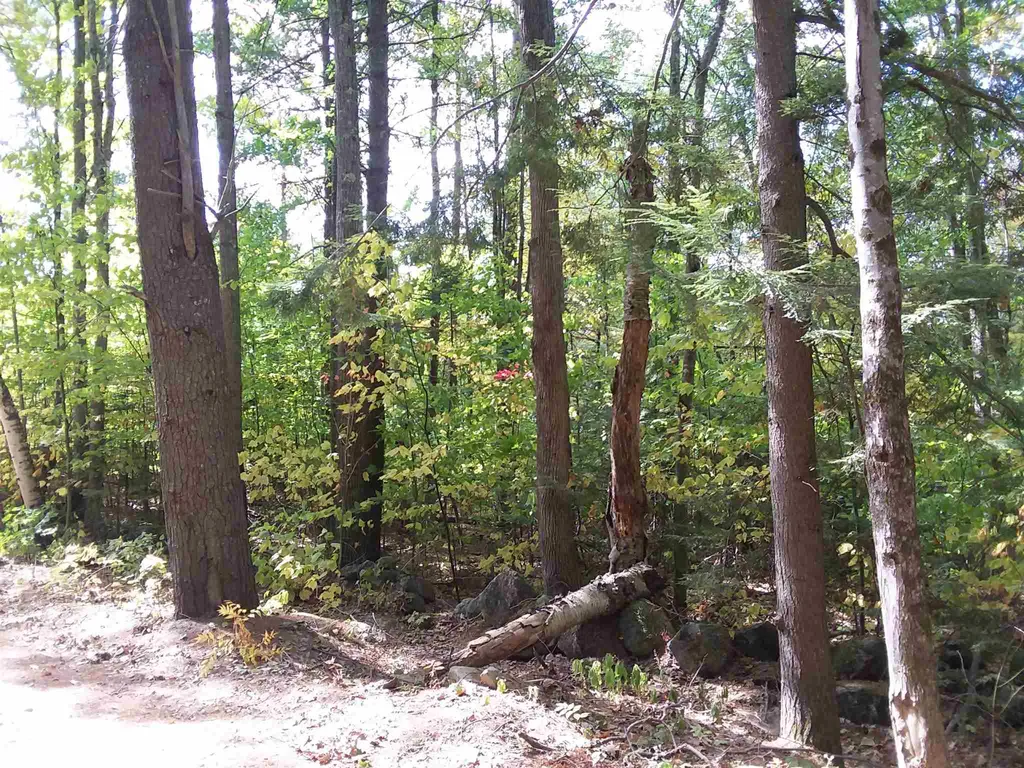 0 Fernwood Farms Road Canaan NH 03741