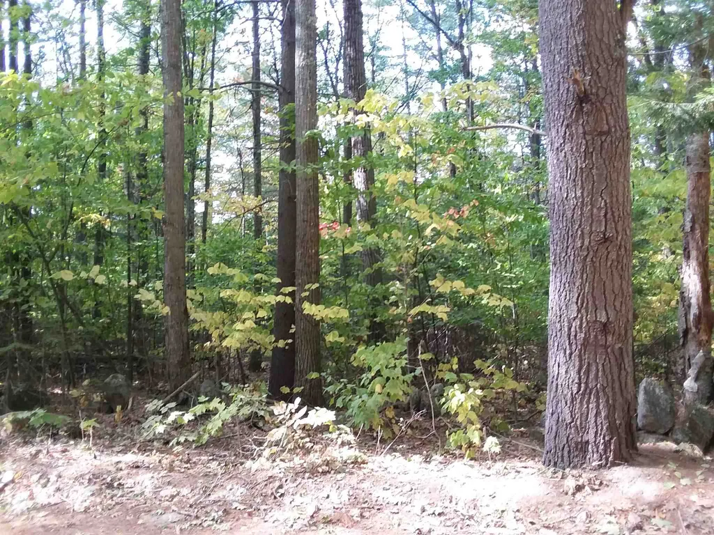 0 Fernwood Farms Road Canaan NH 03741