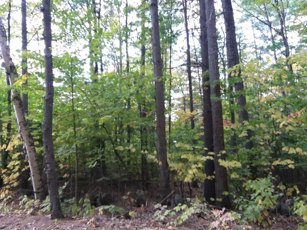0 Fernwood Farms Road Canaan NH 03741