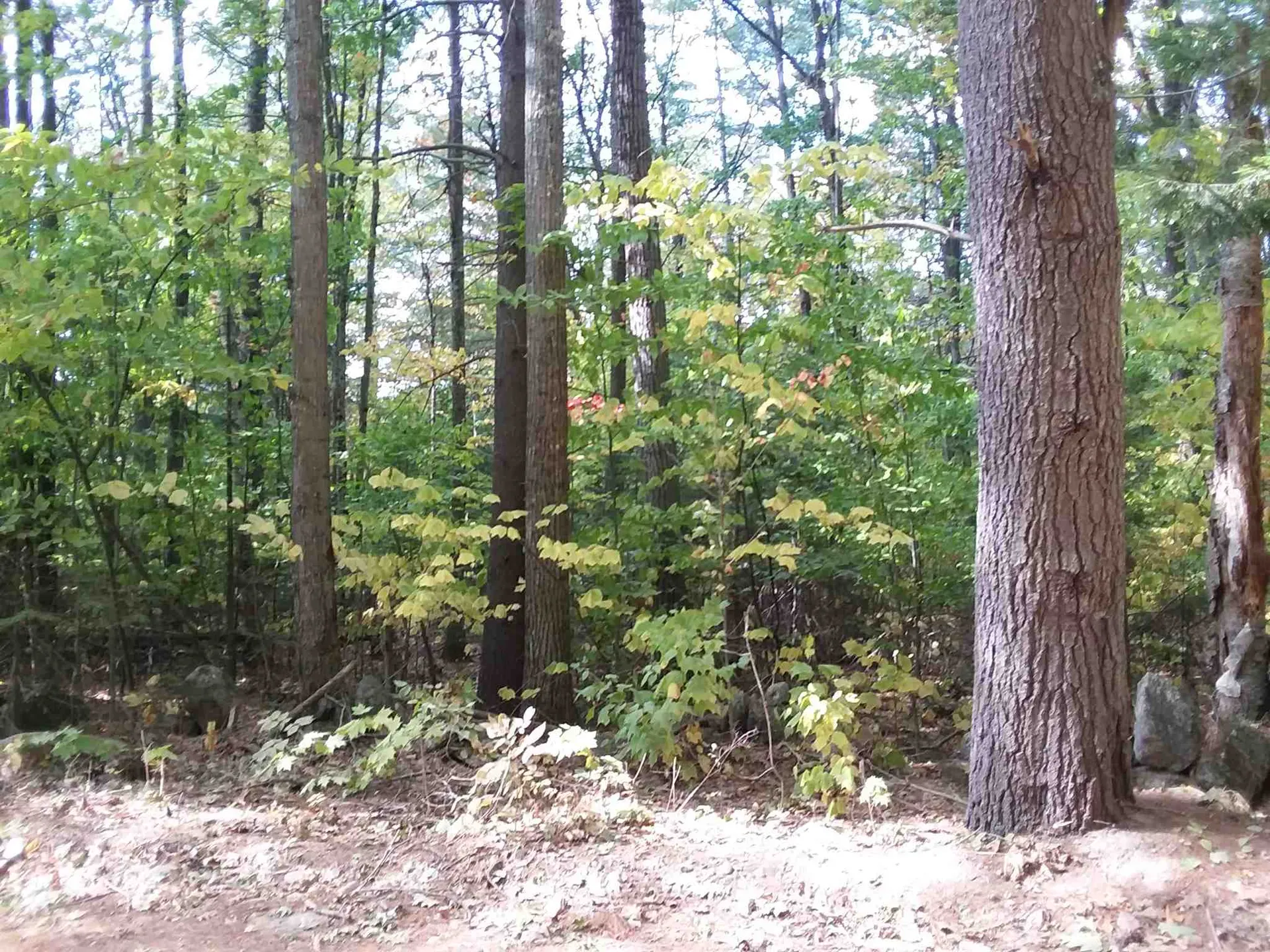 0 Fernwood Farms Road Canaan NH 03741