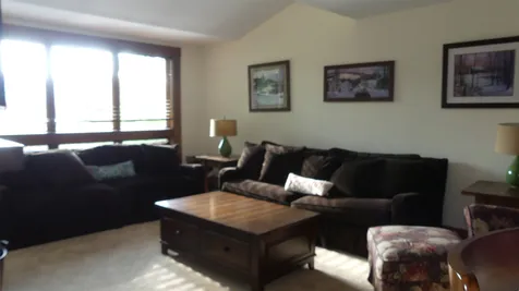 46b Silver Birch Road Dover VT 05356