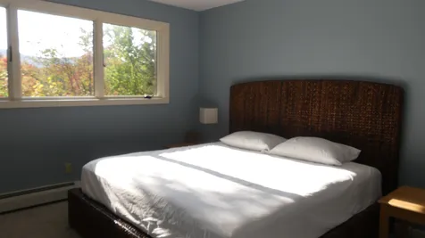 46b Silver Birch Road Dover VT 05356