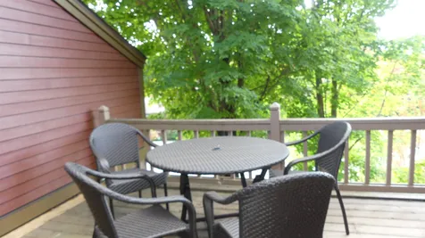 46b Silver Birch Road Dover VT 05356