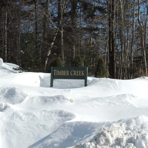 46b Silver Birch Road Dover VT 05356