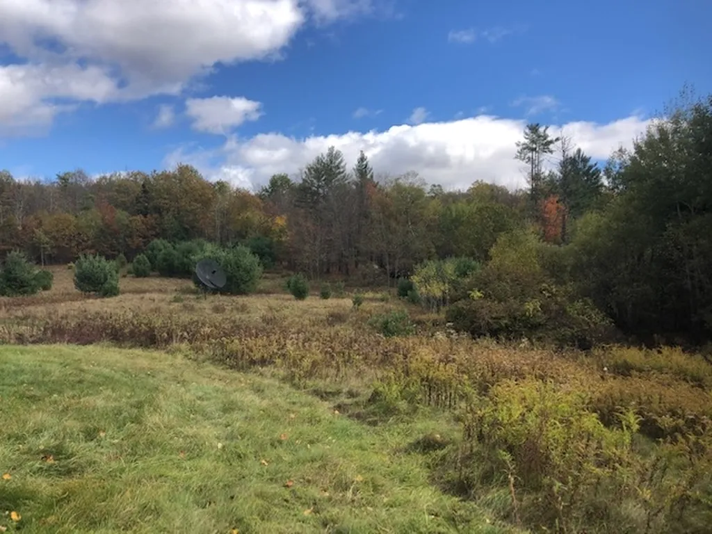 56 Creamery Road Orford NH 03755