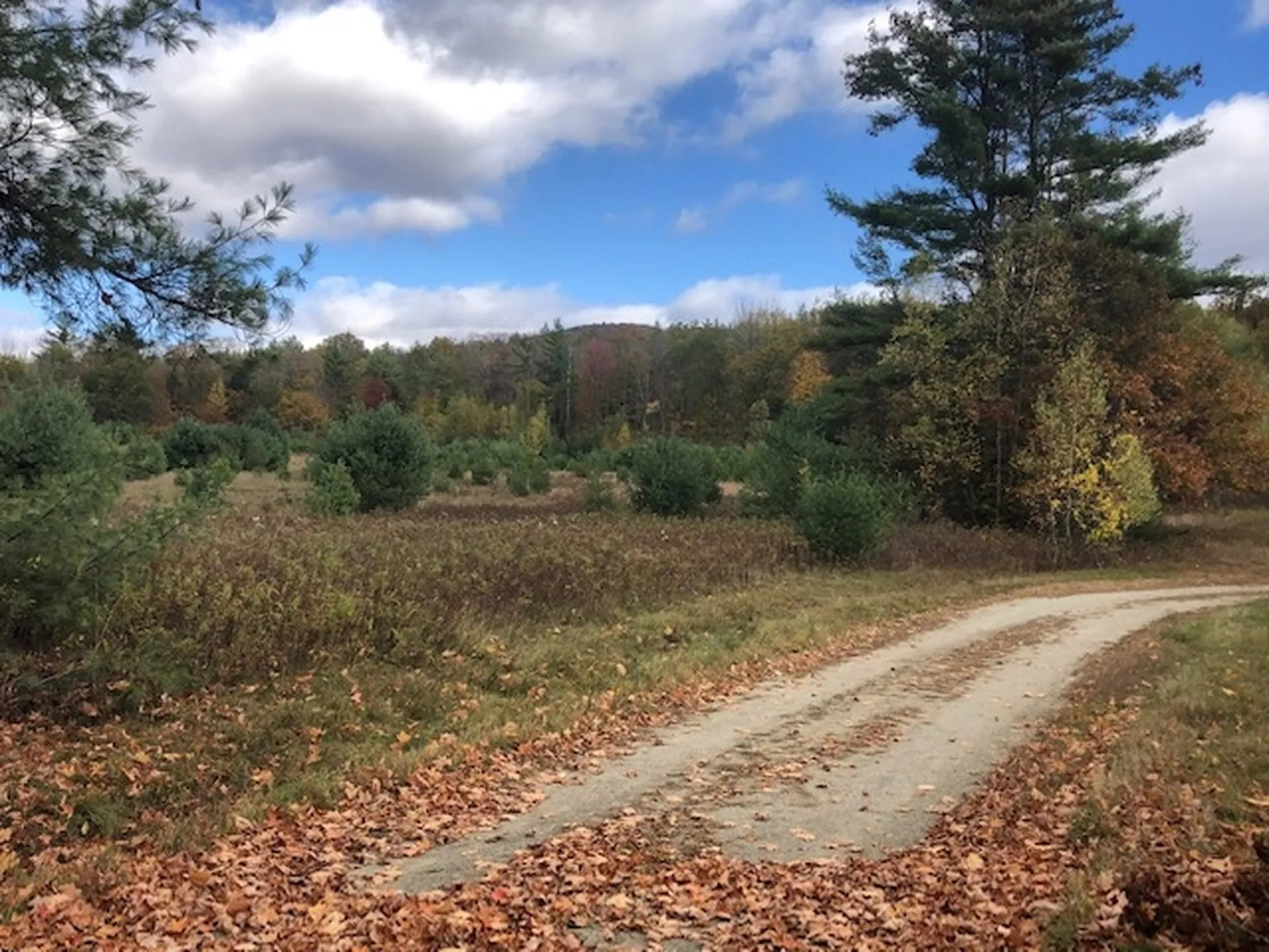 56 Creamery Road Orford NH 03755
