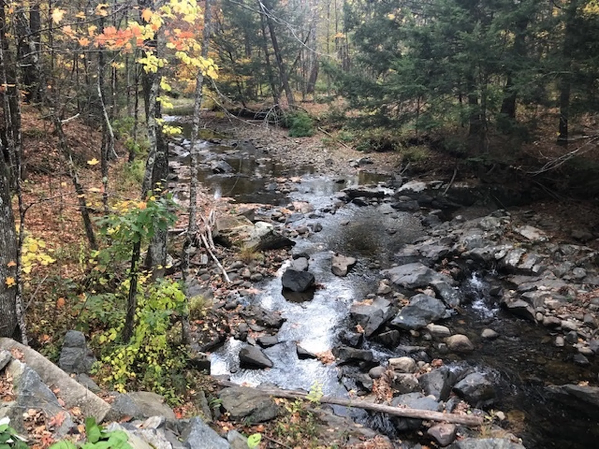 56 Creamery Road Orford NH 03755