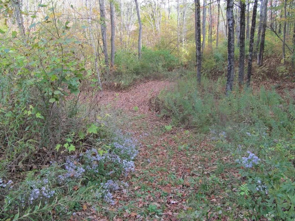 529 Chandlers Mill Road Newport NH 03773