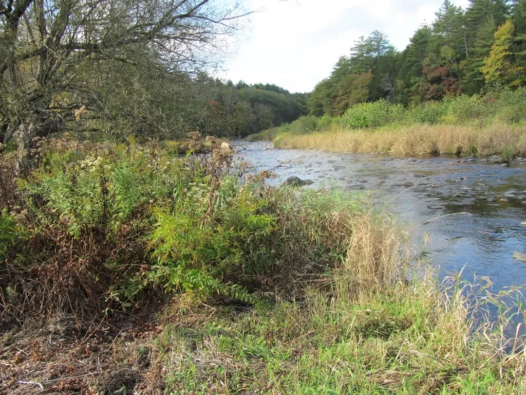 529 Chandlers Mill Road Newport NH 03773
