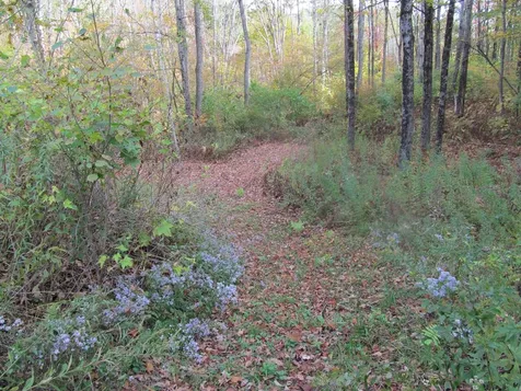 529 Chandlers Mill Road Newport NH 03773