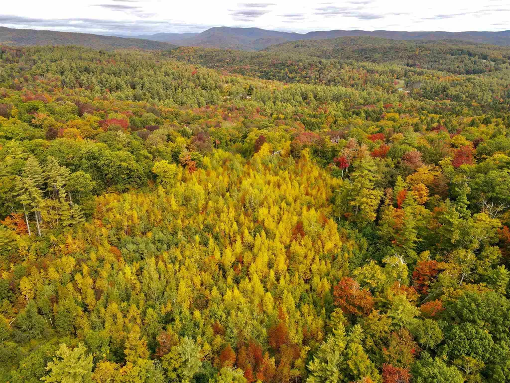 Melis Road Jamaica VT 05340